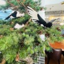 산수화 | 구서동갈비탕맛집! 산수화 후기!