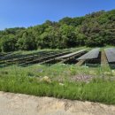 천지태양광발전소 이미지