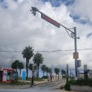 상준농장 | 오조파스타 - 목화휴게소편의점 반건조오징어 - 성산일출봉 - 귤향체험농장(feat.애매랄드제주바다)