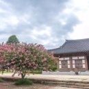 제25회 순천남승룡마라톤대회 이미지