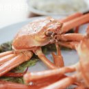 막내회센타 이미지