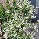 고운경로당 이미지