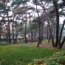 솔밭근린공원 이미지