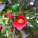 (주)꽃랜드 이미지