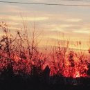 빨강노을펜션 이미지