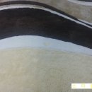 화성세탁 이미지