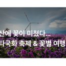 아스타축제 이미지