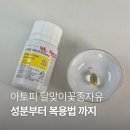 아토피 아이 면역 케어? 달맞이꽃종자유 성분부터 복용법까지 정리