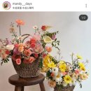 맨디데이즈 이미지