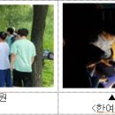 매미와 함께하는 여름여행 이미지