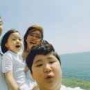 백도빈 카카오 검색결과