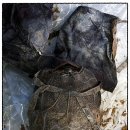 향호1리 이미지