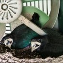 농업기술센터 청사(3층) 이미지