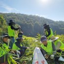 상호기획 이미지