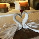 백조카써비스 이미지