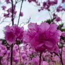 거성건설(주) 이미지