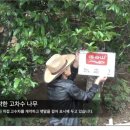 이코비