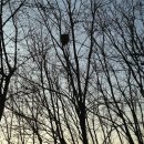 이곡정자공원 이미지