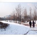 첫눈에반하다 이미지