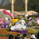 용인 에버랜드 플라워 카니발 산리오 튤립 축제 - 쿠로미 덕후 방문 후기! + 주차 정보