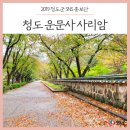 운문사 관광안내소 | 경북 가을여행 명소 추천 :: 가을이 가득 물든 '청도 운문사 사리암' 나들이