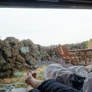 스테이고래