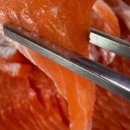 그린농원민박 이미지