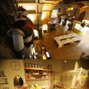 강릉아기동물농장 이미지