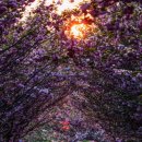 문수사 주차장 이미지