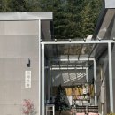 사시장청 이미지