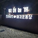 행복 애견방 이미지