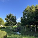 제주특별자치도지체장애인협회 서귀포시지회 이미지