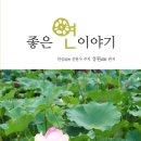 좋은연 Daum카페