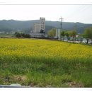 옥계농협주유소 이미지