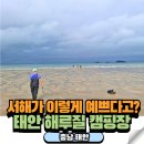 태안전자 | 태안 캠핑장 해루질 갯벌체험 구례포 석갱이오토캠핑장 후기