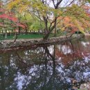 시티원부동산공인중개사사무소 이미지