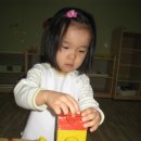 아리솔 이미지