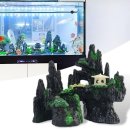 77수족관 이미지