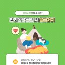 맘스동물의료센터