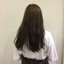 송디 이미지