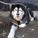 미사동로 이미지