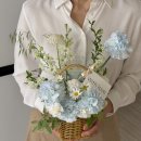 5월 일상 (팜팜발리, 오흐뒤구떼, 히비, 홍명)