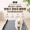 이제 그만! 독톡 반영구 강아지 배변판 연장형 L 사용 후기, 포메 코코와 비숑 루이가 너무 좋아해요ㅎㅎ