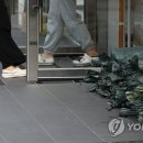 11호상가 이미지