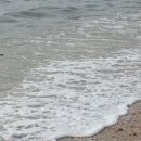 바위집민박 이미지