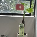 이안학원 - 하남시 미사강변한강로 270-1 | 잠실 요가 이안요가 송파점 후기: 아내와 함께 힐링요가, 땀은 운동 그 이상!