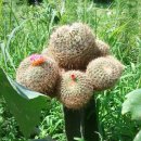 산마을고등학교 이미지