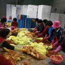 일죽농협 Daum카페