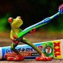 일산좋은치과의원 이미지