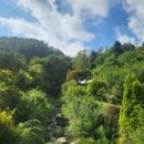 강당동 화장실 이미지